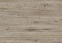 Кварц-виниловый SPC ламинат Alpine Floor Solo Plus ЕСО / Соло Плюс ЭКО 14-801 Прэсто