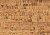 Пробковый пол Corkstyle EcoCork Linea
